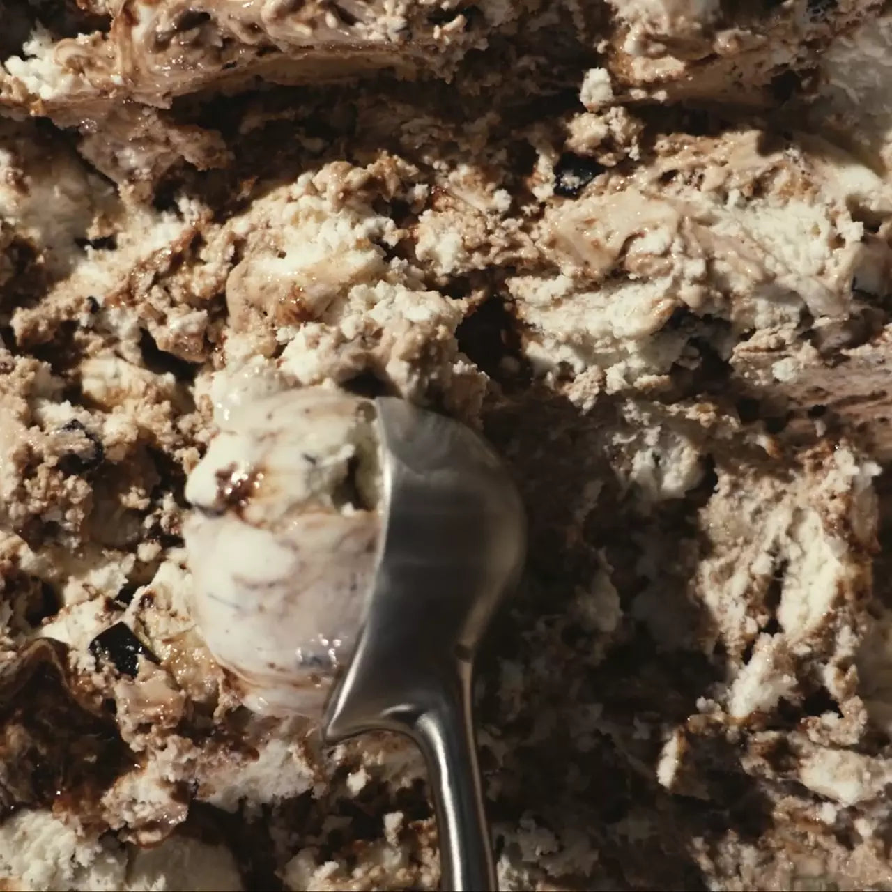 Cookie Dough - Bright Pick V7